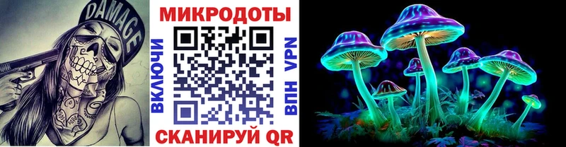Купить где  Весьегонск  Галлюциногенные грибы Cubensis 
