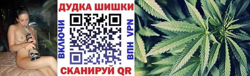 Купить  Весьегонск  Бошки Шишки план 